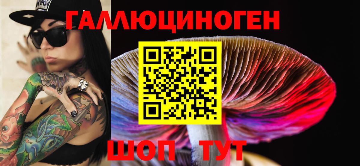 хочу   Вход с VPN  Фрязино  Галлюциногенные грибы MAGIC MUSHROOMS 