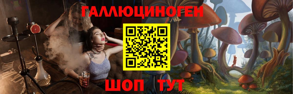 Псилоцибиновые грибы ЛСД Фрязино